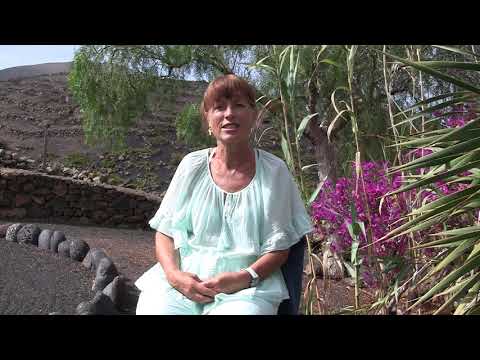 Ersetzt der Clarity Process eine therapeutische Behandlung?