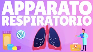 Apparato respiratorio - La respirazione - Sistema respiratorio