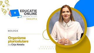 Organisme pluricelulare