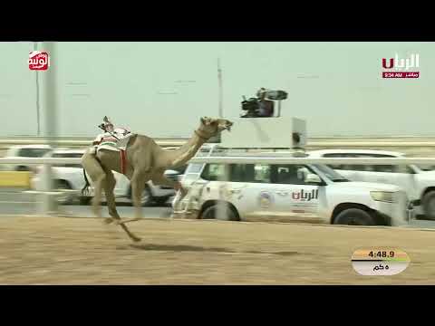 ش 25 (لحن) لـ سهيل حمد بن نهيان سالم العامري 9:18:52  ، مهرجان ختامي الشحانية 2026/04/22 إيذاع
