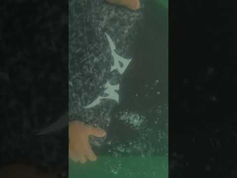 #surf #brasil #surfing #brazil #riograndedosul #gopro #waves #torres