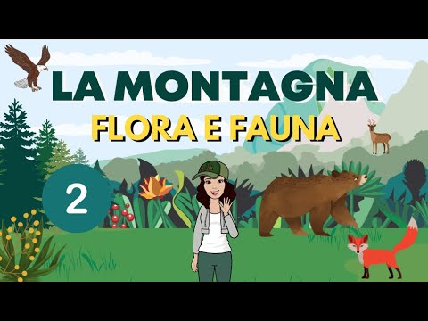 LA MONTAGNA -  FLORA E FAUNA -  Maestra Emy