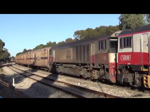 Quin CSR's on 5MP9 12/5/2017