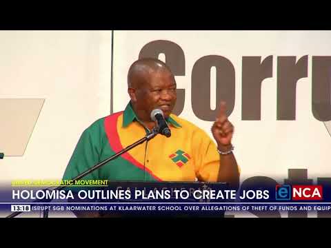 Holomisa outlines plans to create jobs