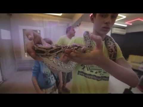 Bashmotion Vlog 102 - змии