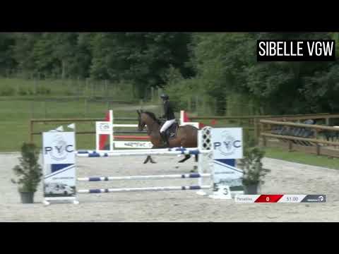 6yo dam Sibelle VGW - 1.25 level - Liesje Vanderwegen
