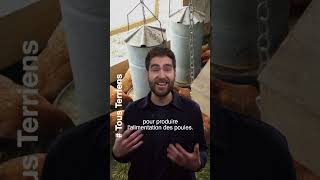 Download lagu A small egg has a big impact on the environment 🌱 #agriculture #chicken #chicken mp3