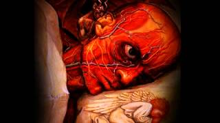 LA RENGA - Cuando Vendran- Letra (TheMaiqel)