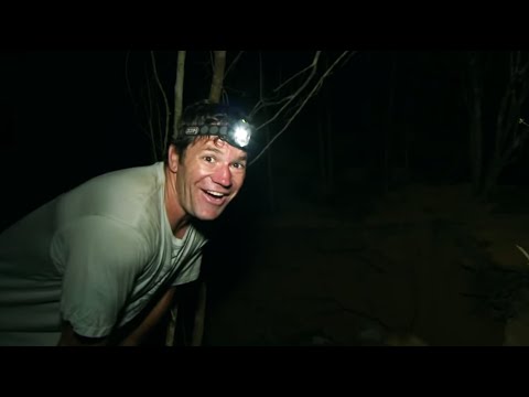 Rare Fossa Sighting in Madagascar | Deadly 60 | Series 2 | BBC Earth