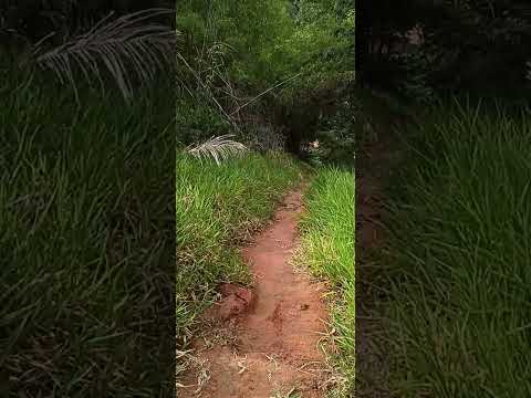 CACHOEIRA DO JANGADEIRO CATUJI MG