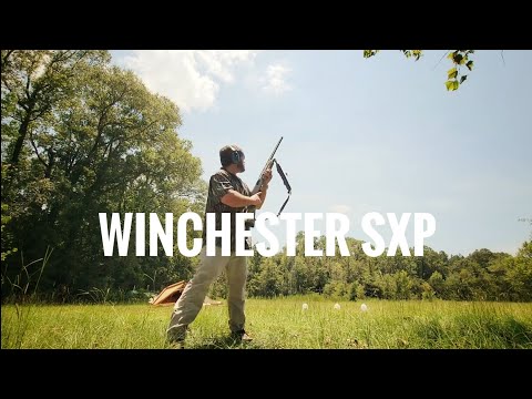 Specs of Winchester SXP