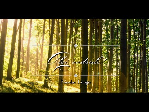 Alei, codrule! | Nicolae Lungu | Corala Nicolae Lungu | solo Gheorghe Lazăr