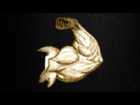 Gamma - Biceps, Triceps & Forearms (Morphic)