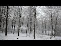 Michael Hoppe - Renouncement (LandscapeHD)