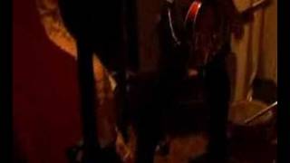 the rippers - i wanna put a tiger in your tank