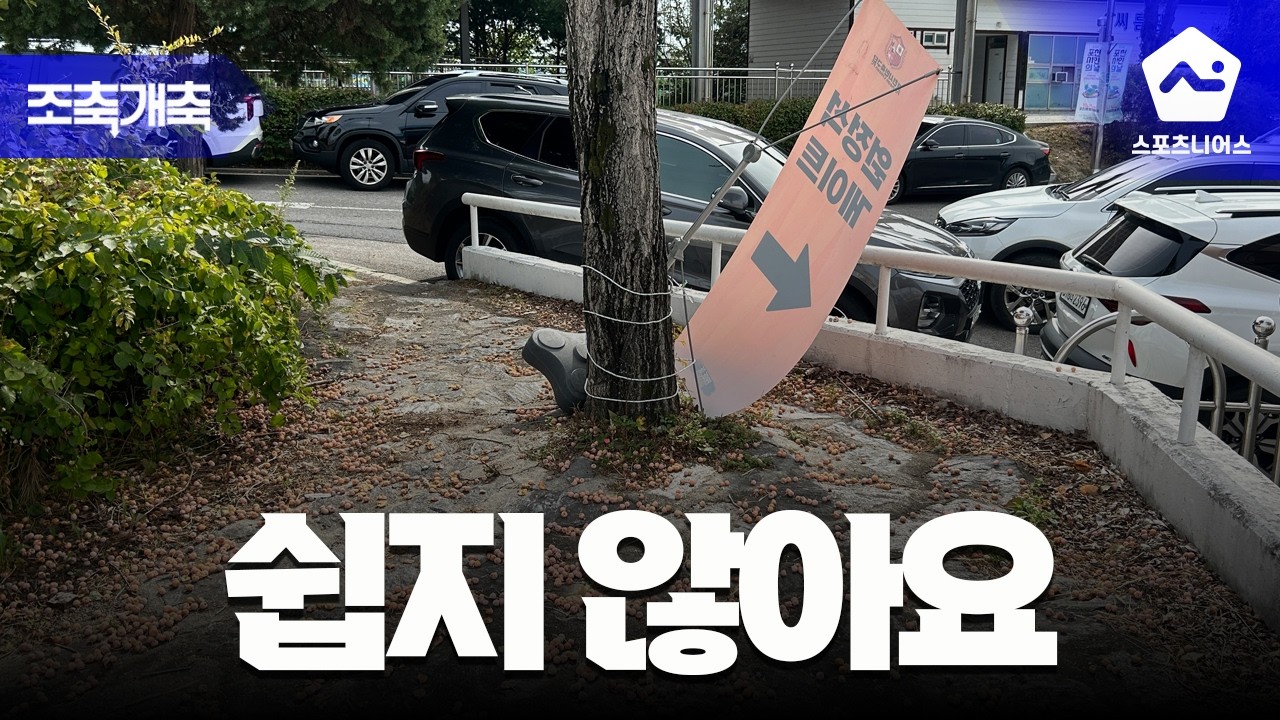 [조축개축] '진짜 축구' K3와 K4리그 현장 4경기 다녀왔습니다
