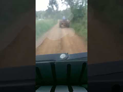 Na estrada (3) Fim. #transporteescolar #cruzmachado #paraná #brasil
