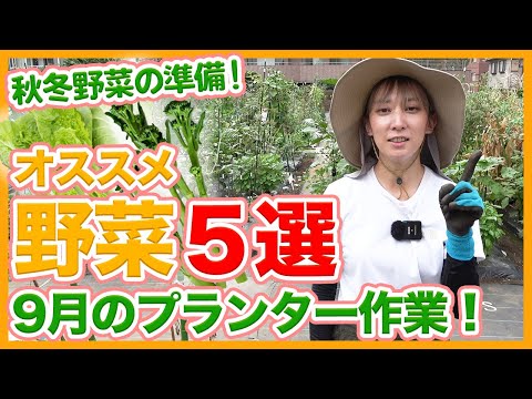  9月に植える野菜は何ですか？  庭園