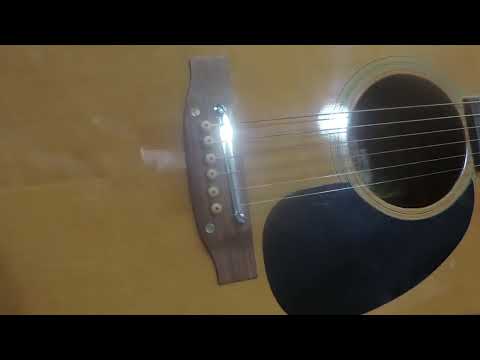 Takamine Elite TW-20 D size Guitar 1975 - Natural image 26