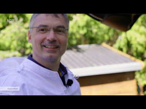 NaturNah - Von Bienen lernen (2019)