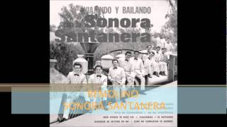 REMOLINO  ( SONORA SANTANERA)