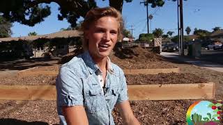 Beginnings of the Methodist Garden in Isla Vista