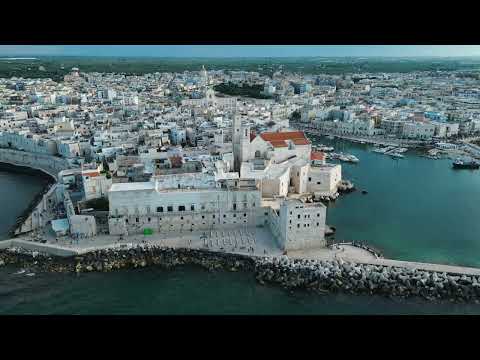 Giovinazzo flying over