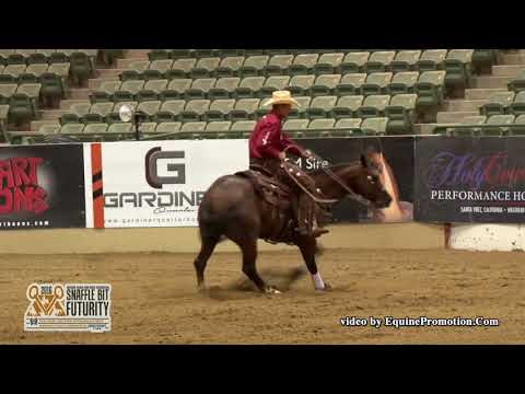 Dynamite Nic ridden by Brad W  Barkemeyer    2016 NRCHA Snaffle Bit Futurity Open Two Rein