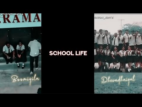 School life Memories💫WhatsApp status | Missing memories
