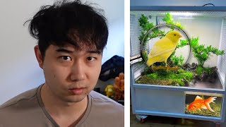 they made a fish tank WITH AN AVIARY | Fish Tank Review 338