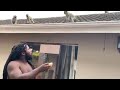 Big Zulu Upha Abangani Bakhe Ukudla