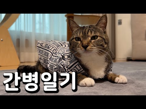 중성화 그 후.. 춘봉 첨지 칠복이에게 벌어진 일