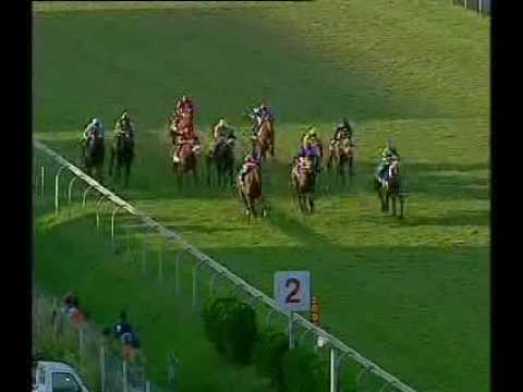 2009 Gold Challenge (SAf-G1)  "POCKET POWER"