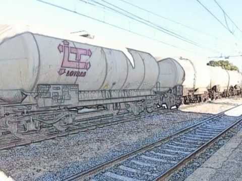 La forza della Tigre!