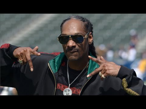 (COPYRIGHT FREE) Boys Noize ft Snoop Dog - Got It "PROMO"