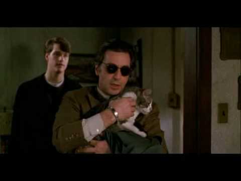 SCENT OF WOMAN IL GATTO