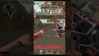 シルバー帯の日常#10 #shorts