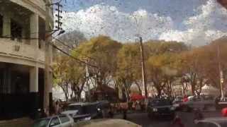 preview picture of video 'Locust swarm invades Antananarivo!'