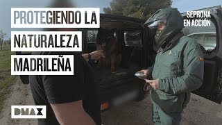 Thumbnail del capítulo