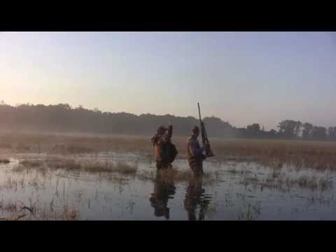 Ohio Public Teal Duck Hunting