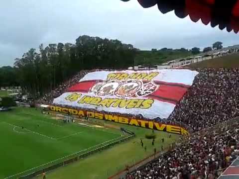 Estreia Do Bandeirão novo da TUI