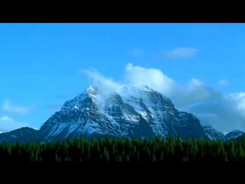 The Mute Gods - Last Man On Earth