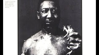 Muddy Waters - I Am the Blues