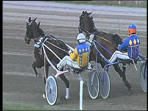 Trotto 28/02/2016 - 4° corsa