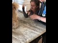 Poor Girl Thinks She Put Her Finger In Her Dogs Bum Hole