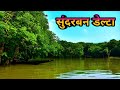 सुंदरबन डेल्टा के बारे में रोचक जानकारी | Sundarban de