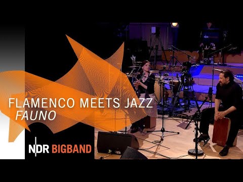 NDR Bigband feat. Elva y Tomás: "Fauno" | Flamenco meets Jazz | NDR
