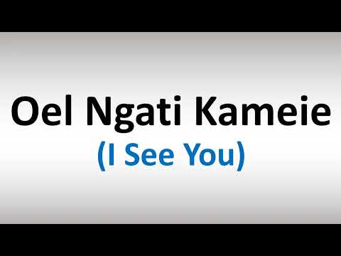 How to Pronounce Oel Ngati Kameie (I See You)