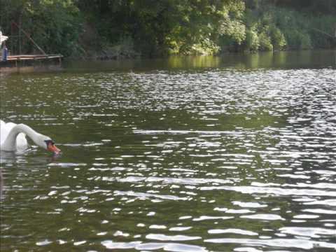 Yorgo Bacanos 1900-1977 Nihavend Taksim