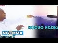 NOGUO NGOKA BY SAMMY K (official Audio)
